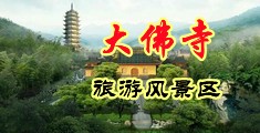 美女让我操在线网站中国浙江-新昌大佛寺旅游风景区